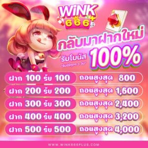 wink666 slide